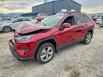 2019 Toyota RAV4 JTMDWRFVXKD510116 Lot 48711676