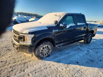 2020 Ford F-150 1FTEW1P44LKE66087 Lot 98328505