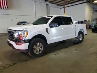 2021 Ford F-150 1FTEW1EP0MKD31994 Lot 53341276