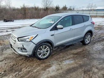 2019 Ford Escape 1FMCU0GD3KUB51867 Lot 99688775