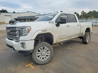 2020 GMC Sierra 1GT49REY8LF196569 Lot 73705815