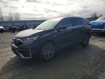 2022 Honda CR-V 7FARW2H81NE054948 Lot 48521396