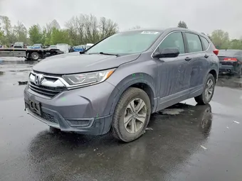 2019 Honda CR-V 5J6RW6H36KL005562 Lot 50647666