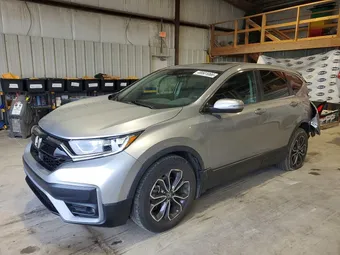 2020 Honda CR-V 7FARW1H81LE029278 Lot 48501066