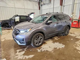 2022 Honda CR-V 7FARW2H80NE051975 Lot 51651006