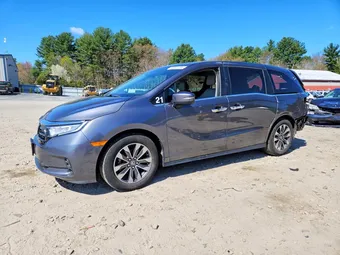 2024 Honda Odyssey 5FNRL6H62RB034031 Lot 48931206