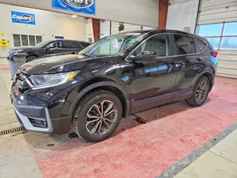 2020 Honda CR-V 5J6RW2H50LA018055 Lot 49069956