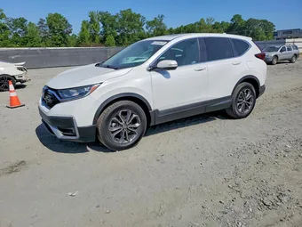 2022 Honda CR-V 7FARW2H82NE036569 Lot 51024426