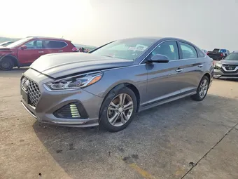 2019 Hyundai Sonata 5NPE34AF7KH820850 Lot 51479266