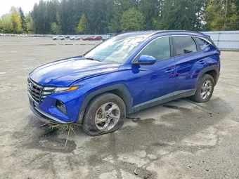 2024 Hyundai Tucson 5NMJBCDE4RH359225 Lot 49515886