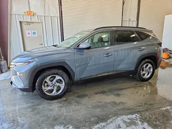 2024 Hyundai Tucson 5NMJBCDE4RH346653 Lot 53778486
