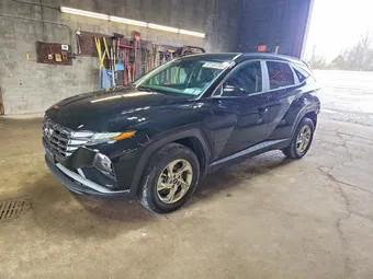 2024 Hyundai Tucson KM8JBCDE1RU294239 Lot 50164106