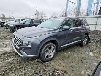 2022 Hyundai Santa Fe 5NMS2DAJ7NH417365 Lot 46227216
