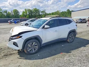 2024 Hyundai Tucson KM8JBCD18RU156520