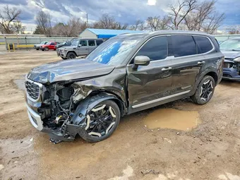 2024 Kia Telluride 5XYP6DGC8RG540580