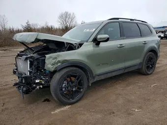 2025 Kia Telluride 5XYP5DGC9SG697981