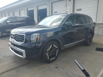2024 Kia Telluride 5XYP6DGC3RG516672