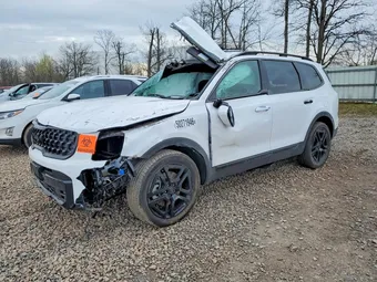 2025 Kia Telluride 5XYP5DGC8SG663367