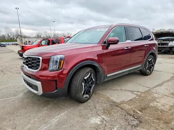 2024 Kia Telluride 5XYP6DGC4RG488574