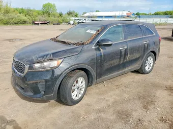2019 Kia Sorento 5XYPG4A30KG587453 Lot 53481916