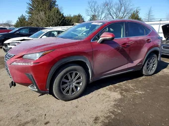 2019 Lexus NX 300H JTJBJRBZ1K2100957
