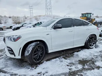 2023 Mercedes-Benz GLE-Class 4JGFD6BB2PA941854 Lot 99436545