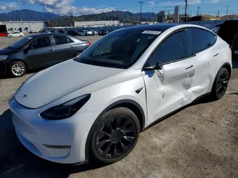 2023 Tesla Model Y 7SAYGDEE0PF625135 Lot 99928245