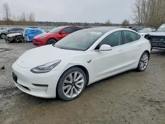 2020 Tesla Model 3 5YJ3E1EB3LF638487 Lot 41637676