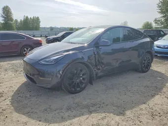 2024 Tesla Model Y 7SAYGDEE0RF117704 Lot 51866526