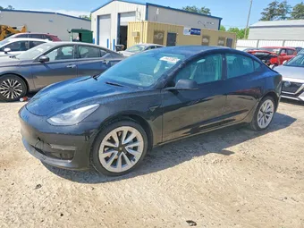 2023 Tesla Model 3 5YJ3E1EA5PF436411 Lot 52266516