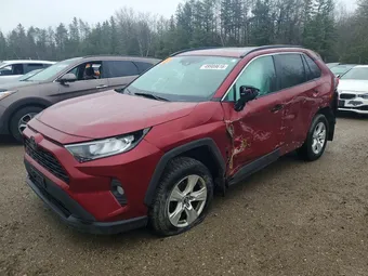 2020 Toyota RAV4 2T3W1RFV7LC034999 Lot 49989616