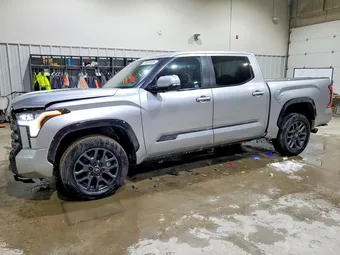 2025 Toyota Tundra 5TFNA5DB3SX321407 Lot 78787835