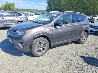 2017 Toyota RAV4 JTMRJREV8HD137544 Lot 53178266