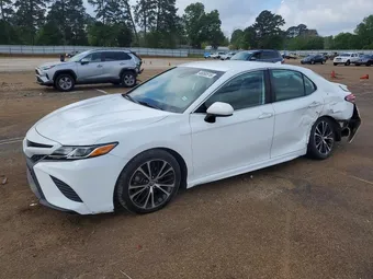 2019 Toyota Camry 4T1B11HK7KU170168 Lot 48060516