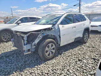 2019 Toyota RAV4 JTMF1RFV1KD037617 Lot 48301766