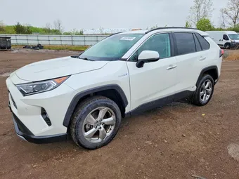 2020 Toyota RAV4 2T3DWRFV7LW048246 Lot 53045686