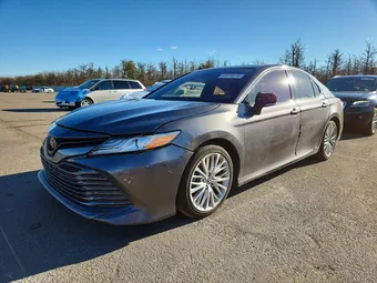 2019 Toyota Camry 4T1B11HK1KU835260 Lot 48616576