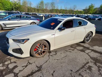 2023 Acura TLX 19UUB7F04PA001007