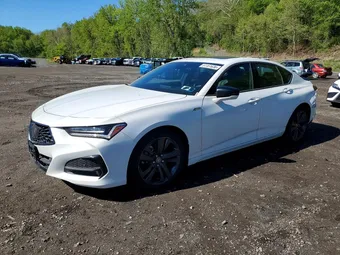 2023 Acura TLX 19UUB6F55PA003564