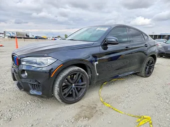 2015 BMW X6 M 5YMKW8C58F0R42777