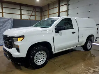 2023 Chevrolet Silverado 1500 3GCNAAEK3PG306201 Lot 77124695
