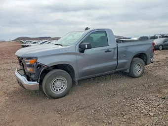 2025 Chevrolet Silverado 1500 3GCNAAEK6SG265247 Lot 49569796