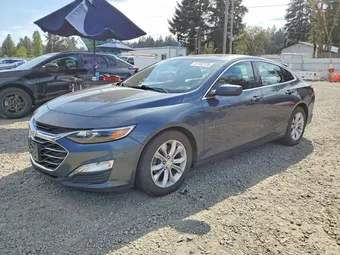 2019 Chevrolet Malibu 1G1ZD5ST0KF219176 Lot 51702726