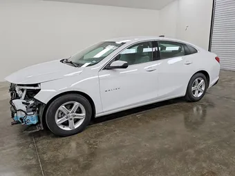 2024 Chevrolet Malibu 1G1ZB5ST4RF105553 Lot 50176496