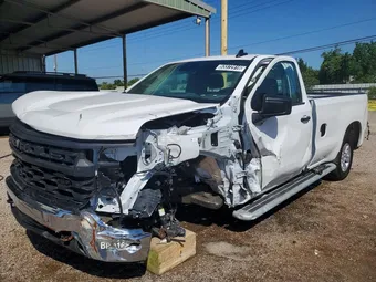2025 Chevrolet Silverado 1500 3GCNAAED3SG325387 Lot 53372916