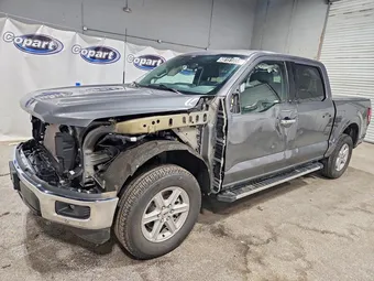 2025 Ford F-150 1FTEW3LP7SKF08424 Lot 49151856