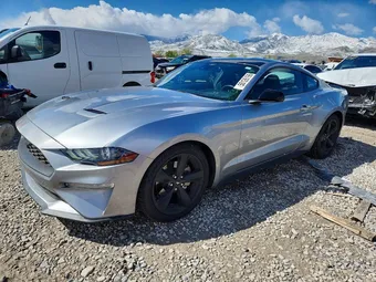 2021 Ford Mustang 1FA6P8TH9M5119749 Lot 50126196