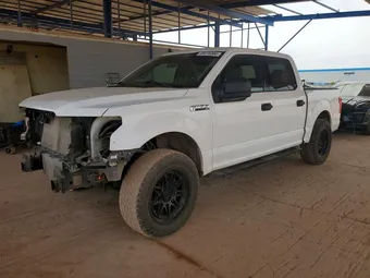 2020 Ford F-150 1FTEW1CP6LKE06604 Lot 49516366
