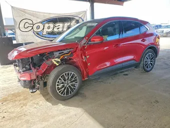 2025 Ford Escape 1FMCU0E19SUA29300 Lot 51203216
