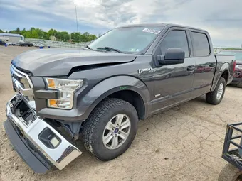2016 Ford F-150 1FTEW1EP0GFB60984 Lot 53239266
